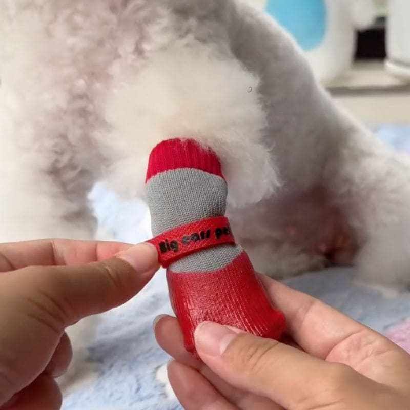 Pawsy Dog Shoes