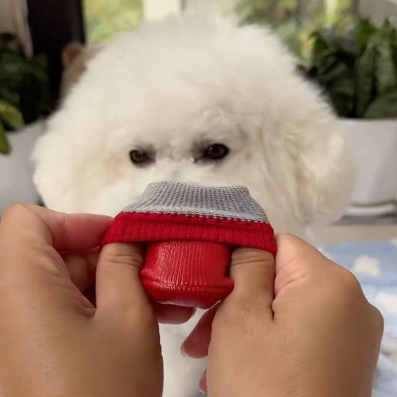 Pawsy Dog Shoes