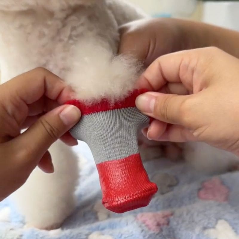 Pawsy Dog Shoes
