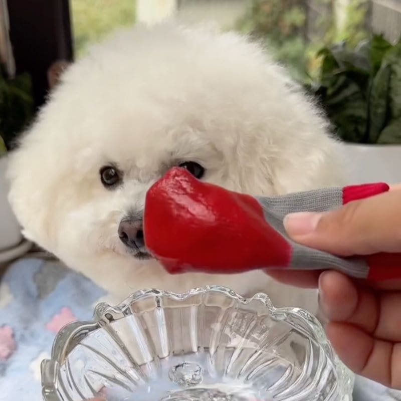 Pawsy Dog Shoes