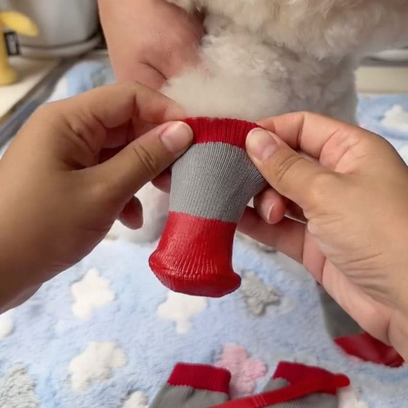 Pawsy Dog Shoes