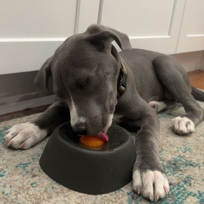 Soothe & Spin™ Bowl