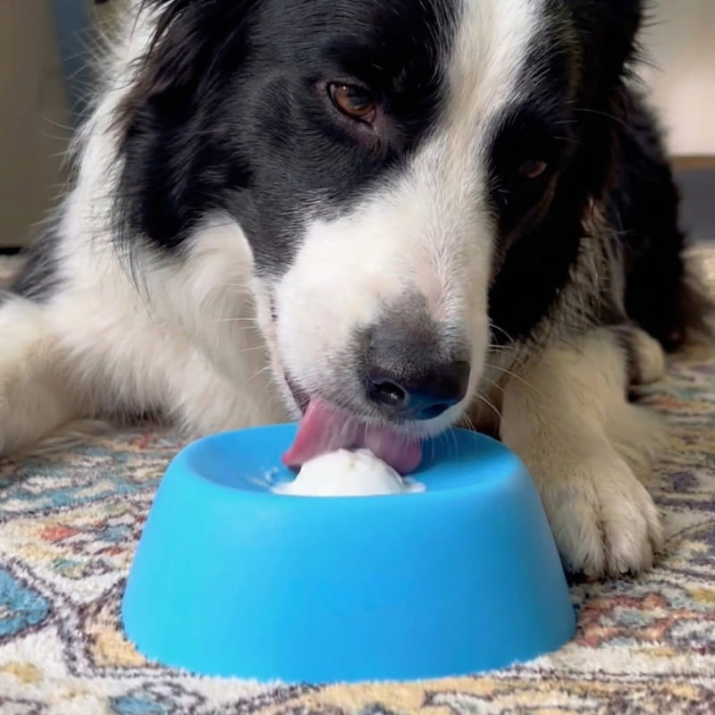 Soothe & Spin™ Bowl