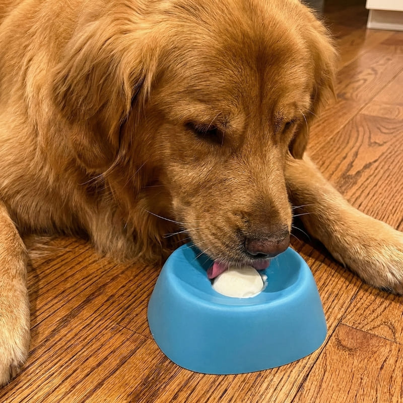 Soothe & Spin™ Bowl