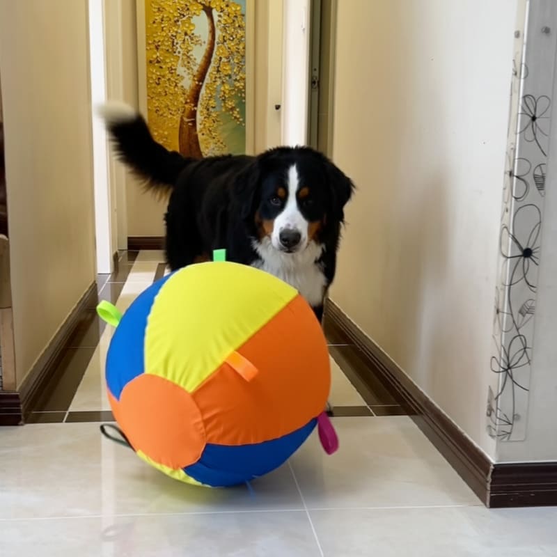 EverPlay™ Giant Ball - 45cm