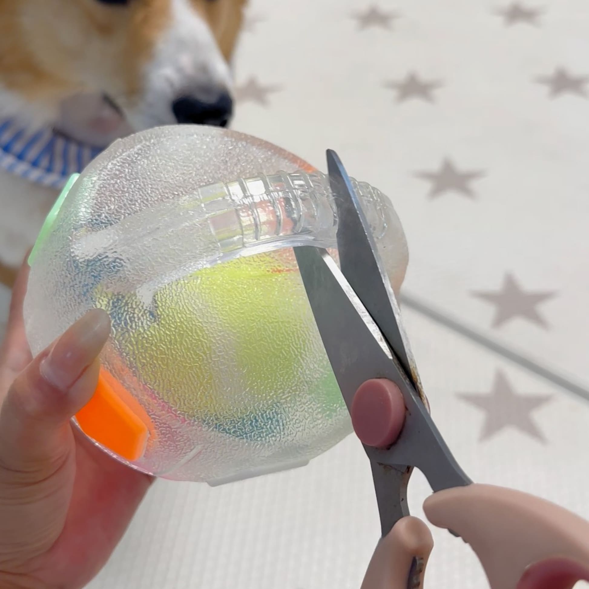 The Infinity Chew Ball