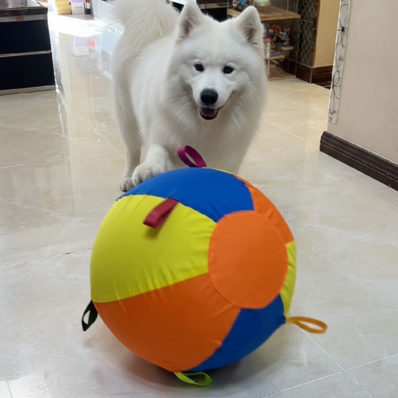 EverPlay™ Giant Ball - 45cm