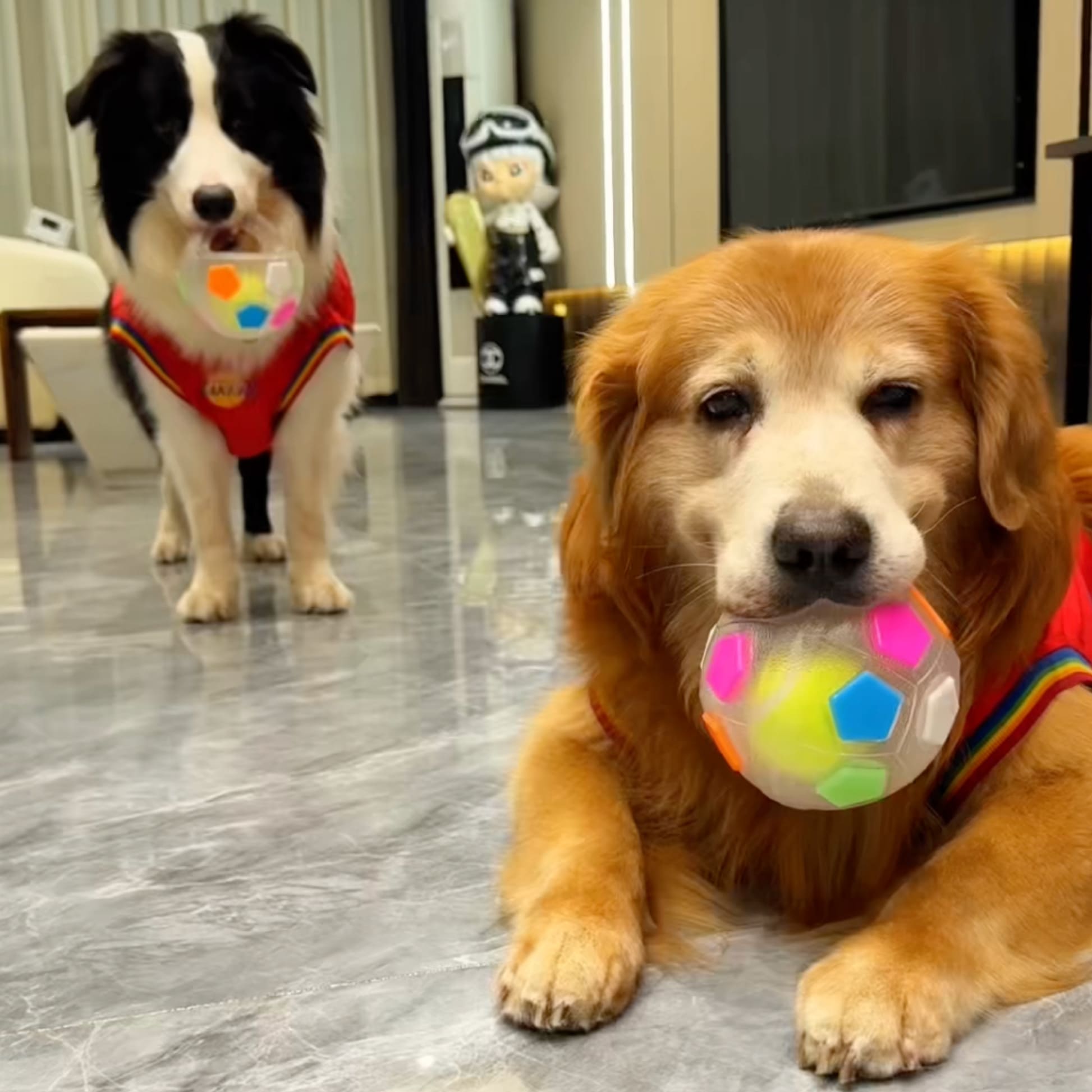 The Infinity Chew Ball