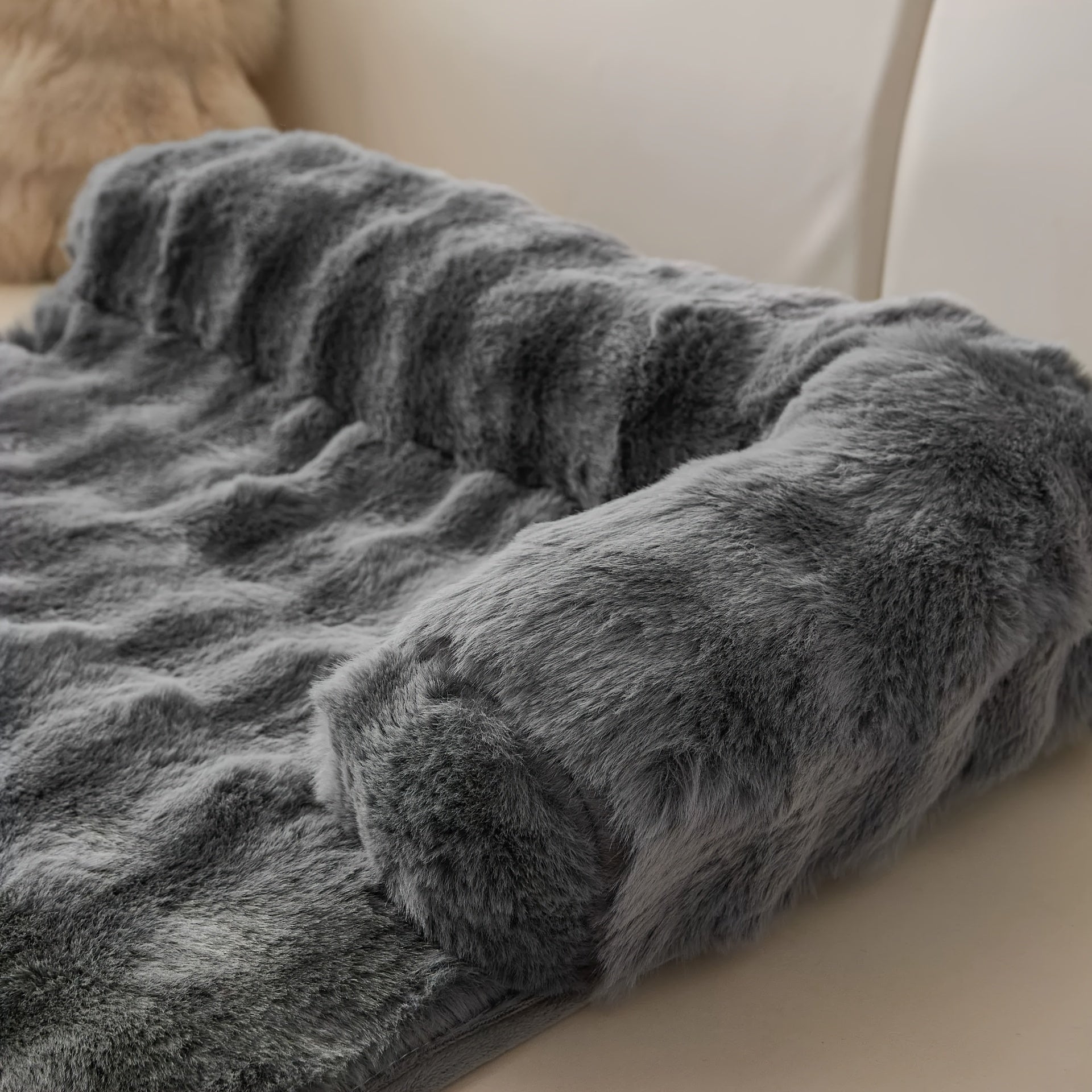 The CloudGuard™ Sofa Bed