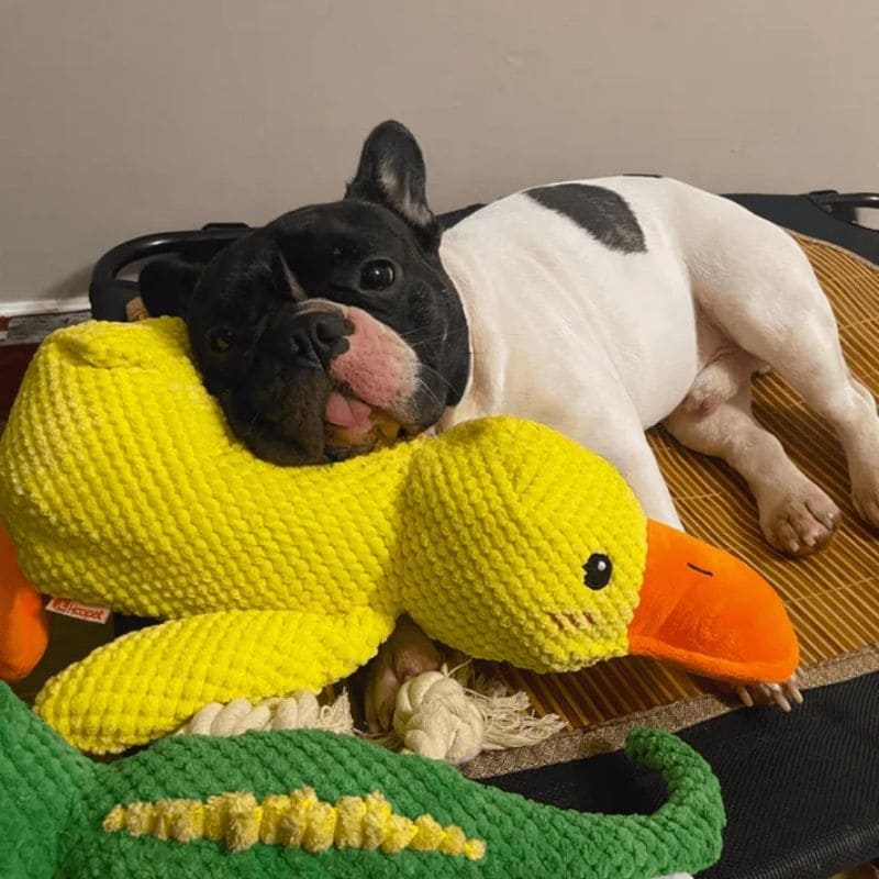 Calming Duck Toy