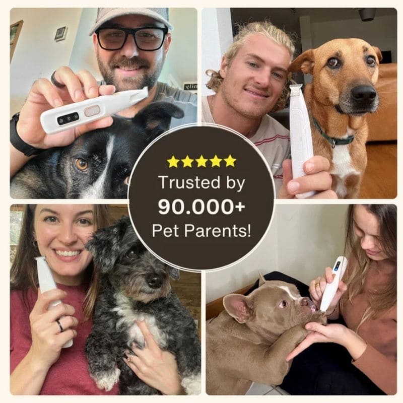 Premium Electric Dog Trimmer