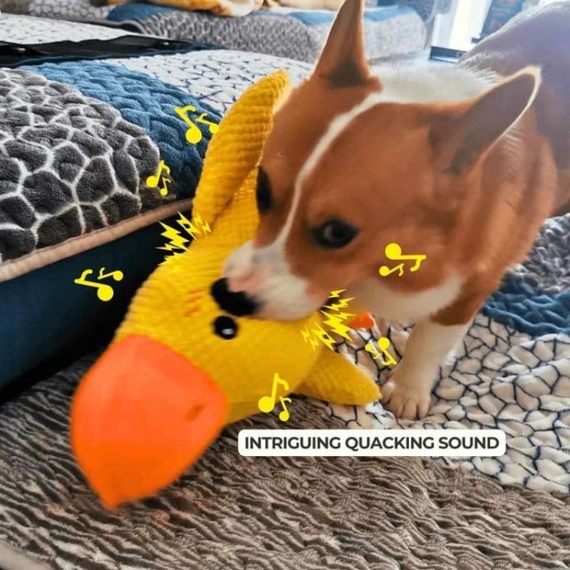 Calming Duck Toy