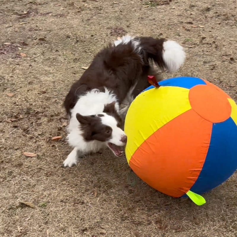 EverPlay™ Giant Ball - 45cm