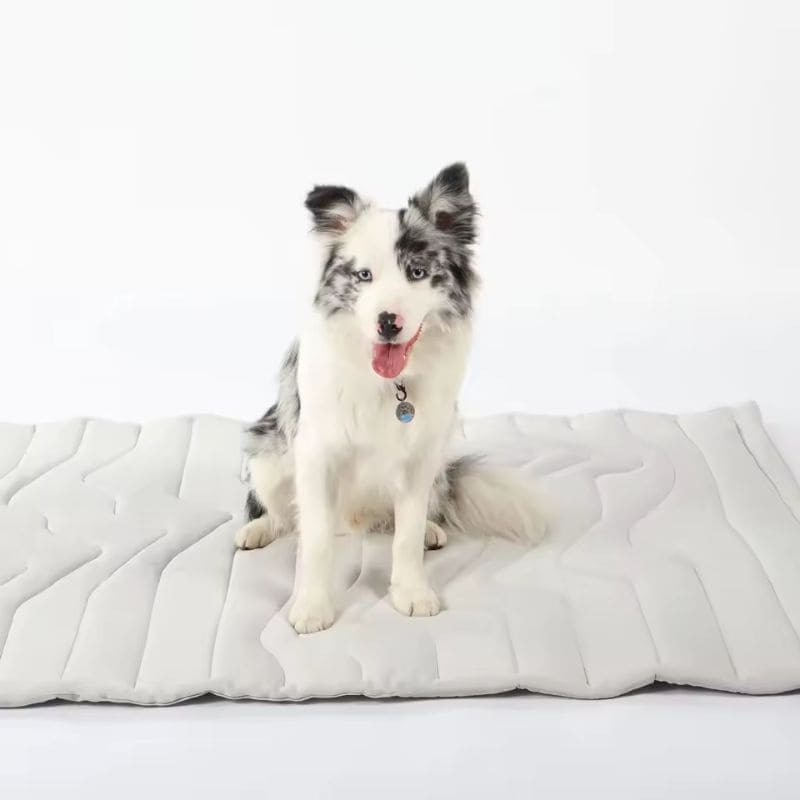 Little Jumps Aero-Chill™ Mat.