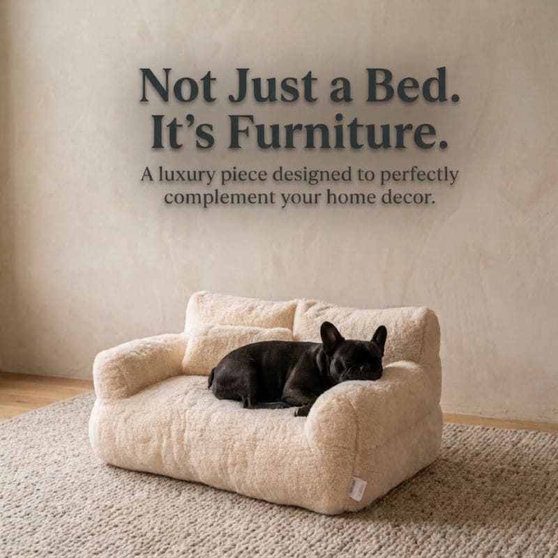 Calming Sofa - Soft Nest
