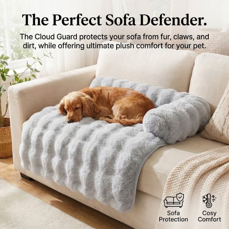 The CloudGuard™: Orthopedic Support & Anxiety Relief for Your Best Friend.