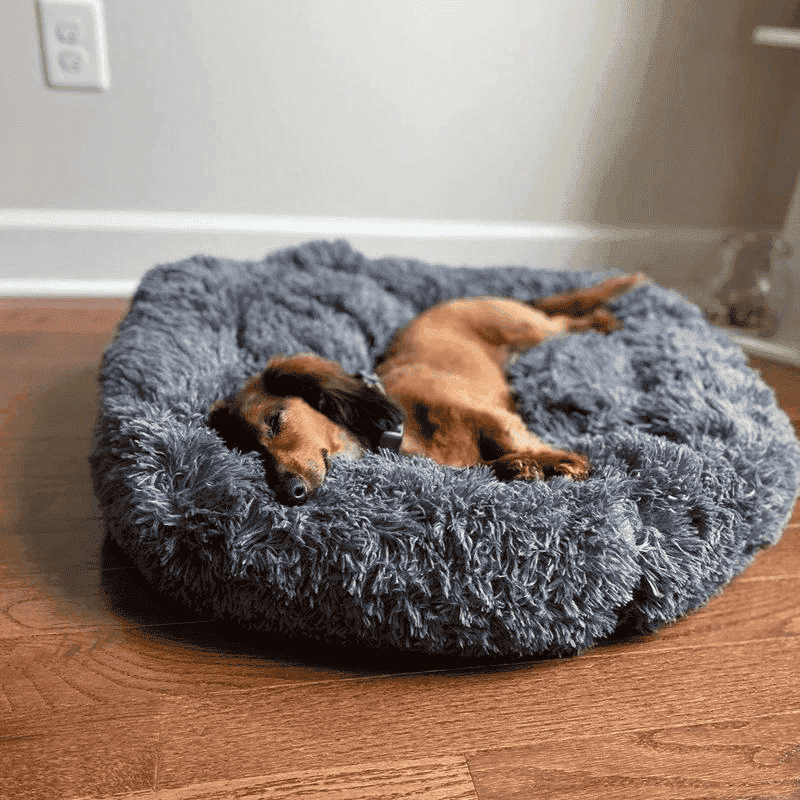 Cosy Bed Donuts