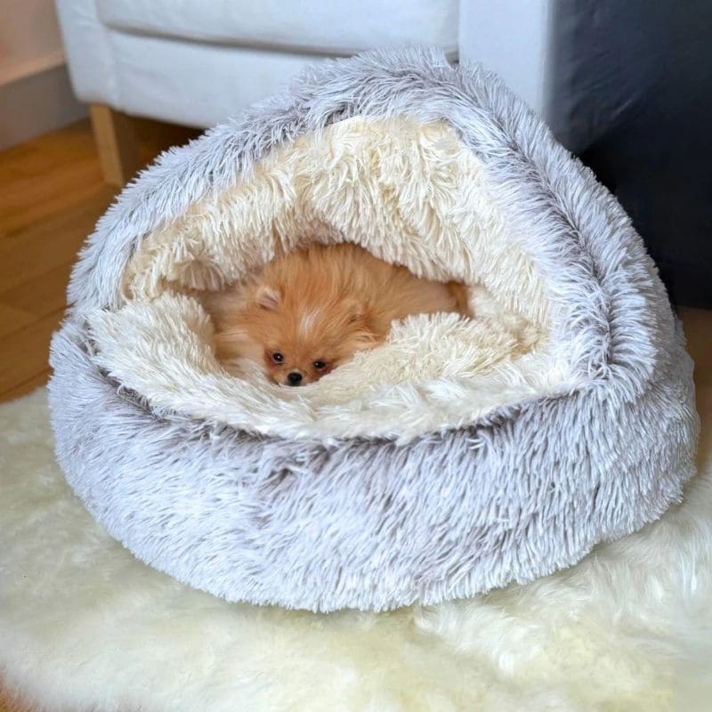 The Cloud Burrow