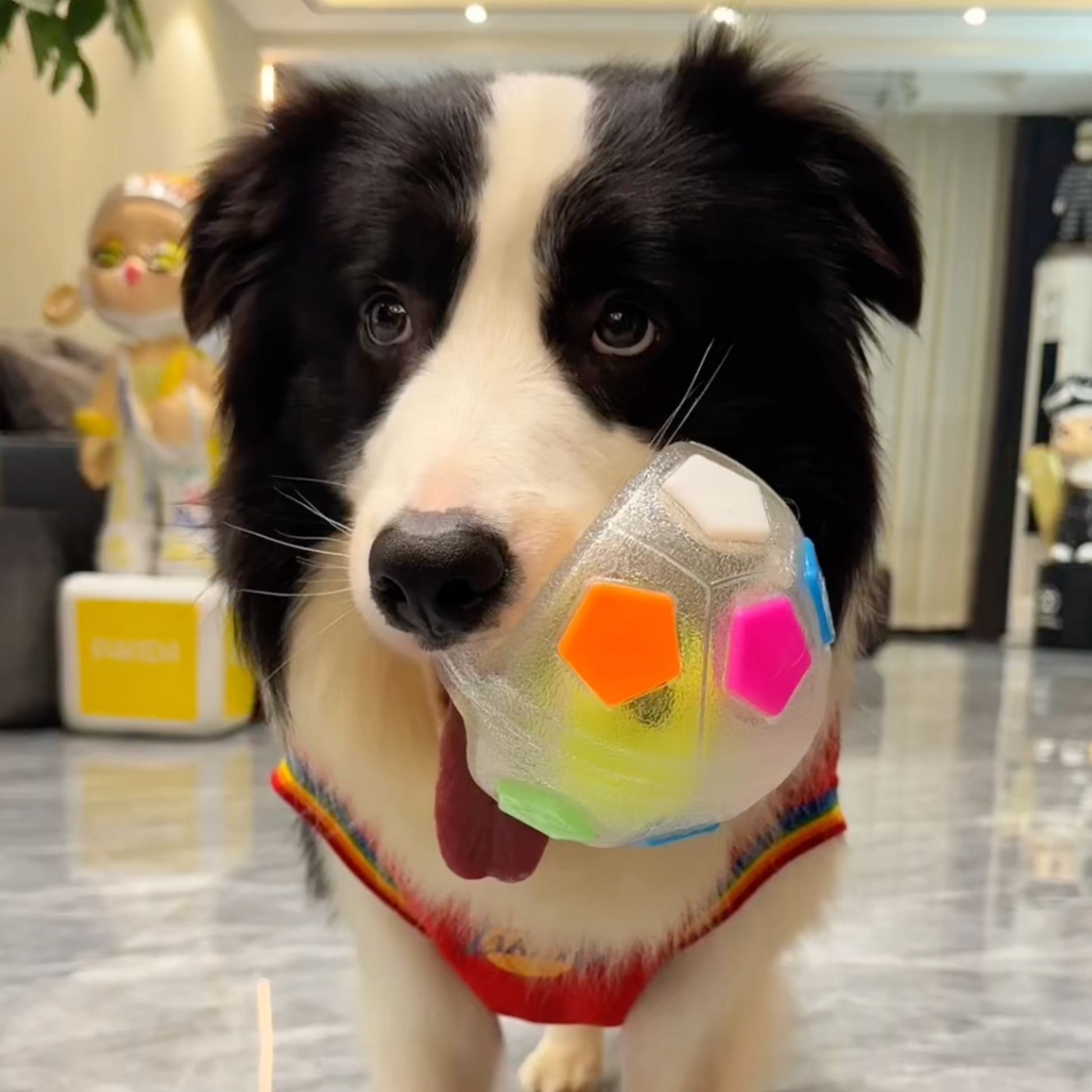 The Infinity Chew Ball