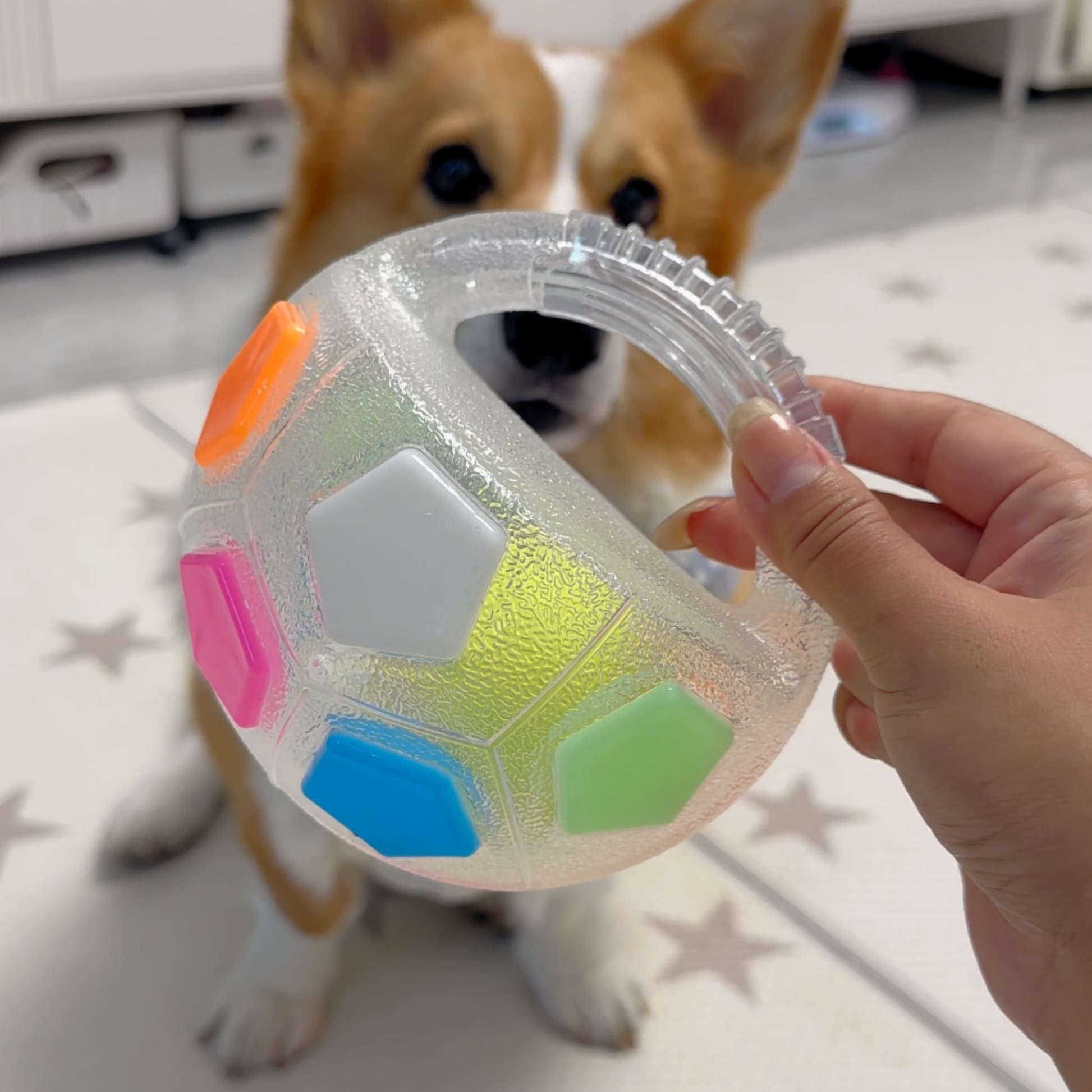 The Infinity Chew Ball