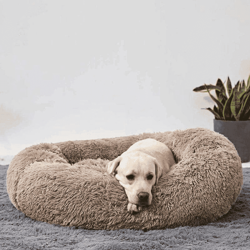 Cosy Bed Donuts