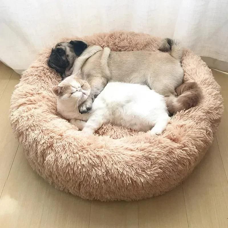 Cosy Bed Donuts