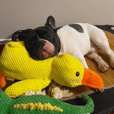 Calming Duck Toy