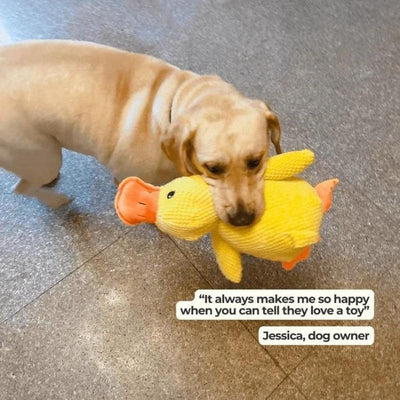 Calming Duck Toy