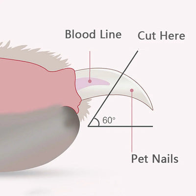 Professional Pet Nail Clipper